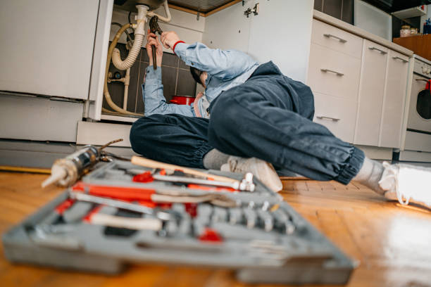 Best Affordable Plumber Near Me  in Martinsvle, IL