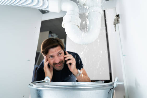 Best Affordable Plumbing Services  in Martinsvle, IL