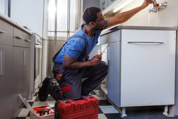 Best 24-Hour Plumber Near Me  in Martinsvle, IL